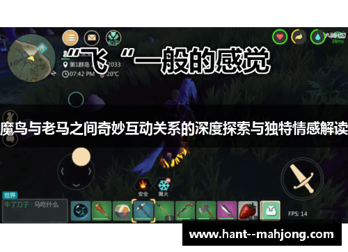 魔鸟与老马之间奇妙互动关系的深度探索与独特情感解读