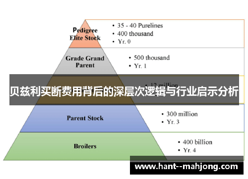 贝兹利买断费用背后的深层次逻辑与行业启示分析