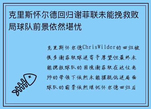 克里斯怀尔德回归谢菲联未能挽救败局球队前景依然堪忧